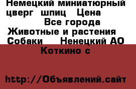 Немецкий миниатюрный(цверг) шпиц › Цена ­ 50 000 - Все города Животные и растения » Собаки   . Ненецкий АО,Коткино с.